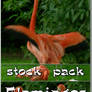 Stock Pack - Flamingos