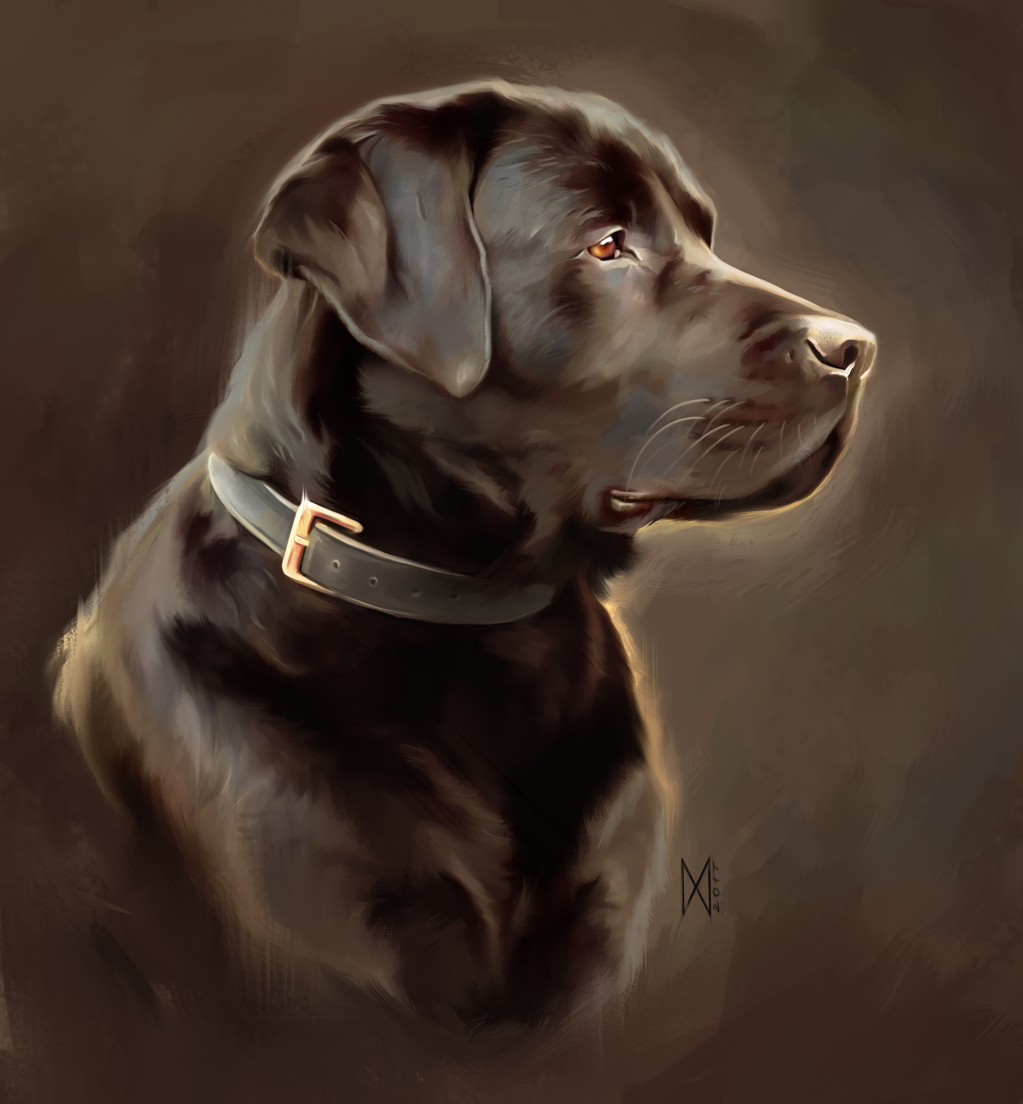 Labrador