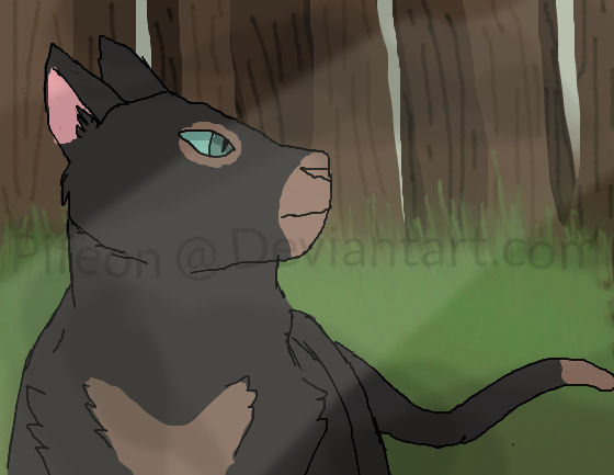 big leader man boy thinks his trees are too tiny by pifeon on DeviantArt