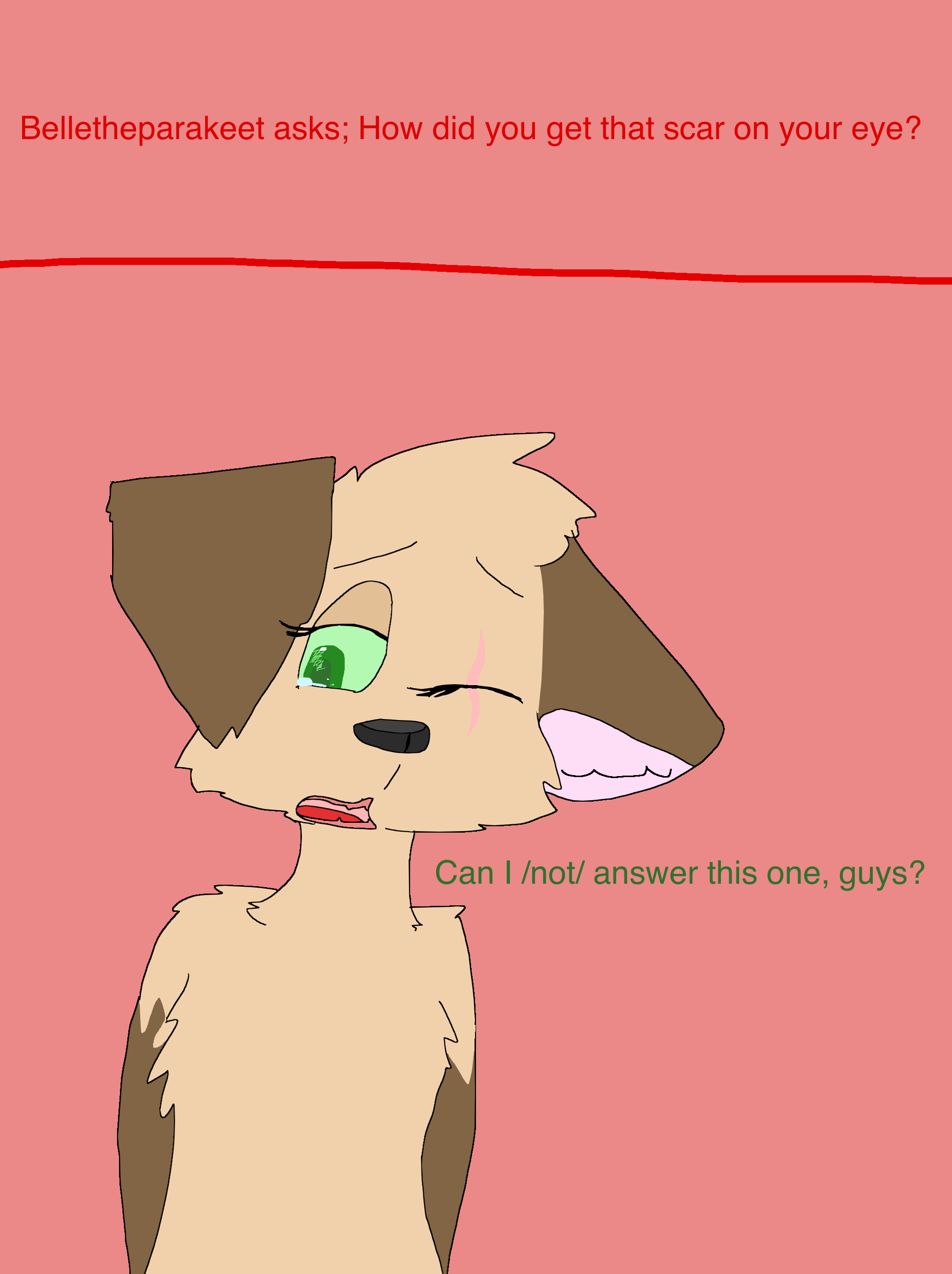 Ask 5 by Kawowi on DeviantArt