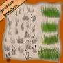 Grasses HD