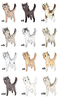 Feline Adoptables