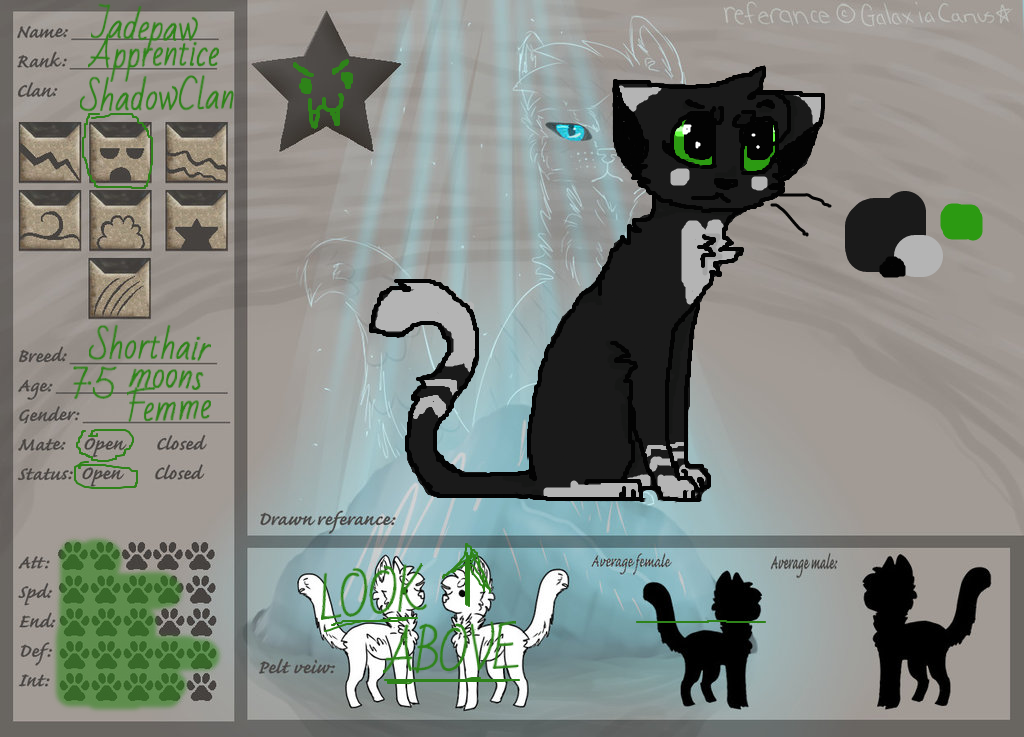 Jadepaw Ref ((# 3))