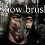 Snow Brush