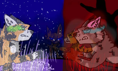 Starclan vs Darkforest