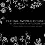 floral swirls brushes