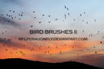 bird brushes by ivadesign