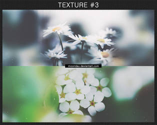 PACK TEXTURE #3