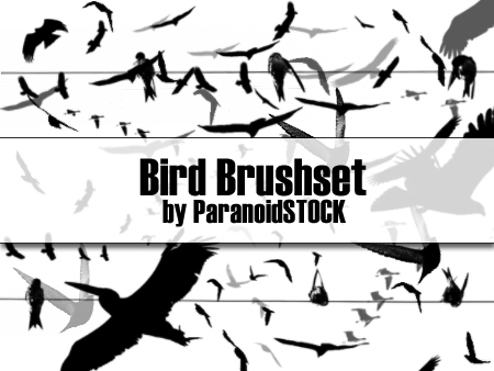 Bird Brushset