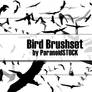 Bird Brushset