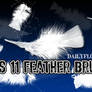 11 feather brushes