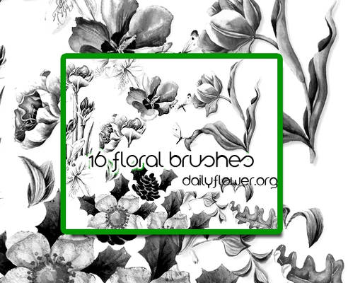 16 ps floral brushes