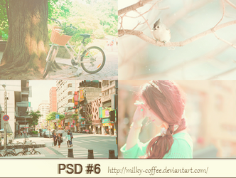 PSD #6