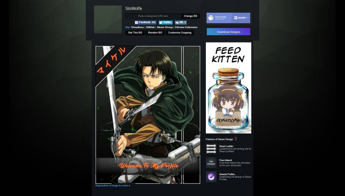 photo Mikasa Ackerman Steam Artwork free steam artwork animated levi