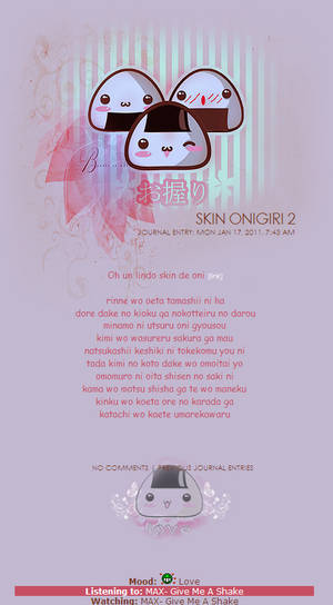 Onigiri skin journal  2