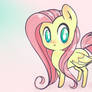 Fluttershy!