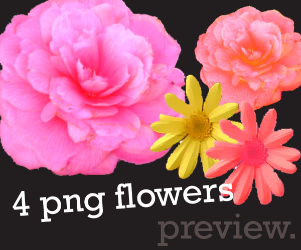 4 Large png flowers