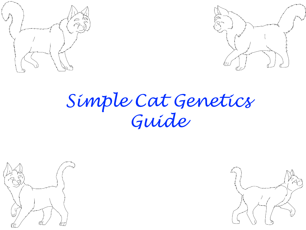 The Simple Cat Guide for Adoptables by RisendeCabre on DeviantArt