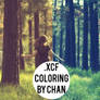 .xcf Gimp Coloring# by ChanGraphic