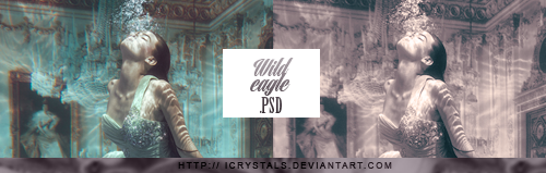 PSD WILD EAGLE