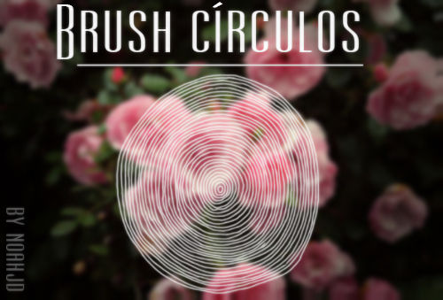 Circles /brush/ by ephyreia on DeviantArt