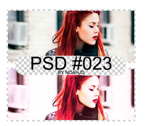 PSD #023 /psd/