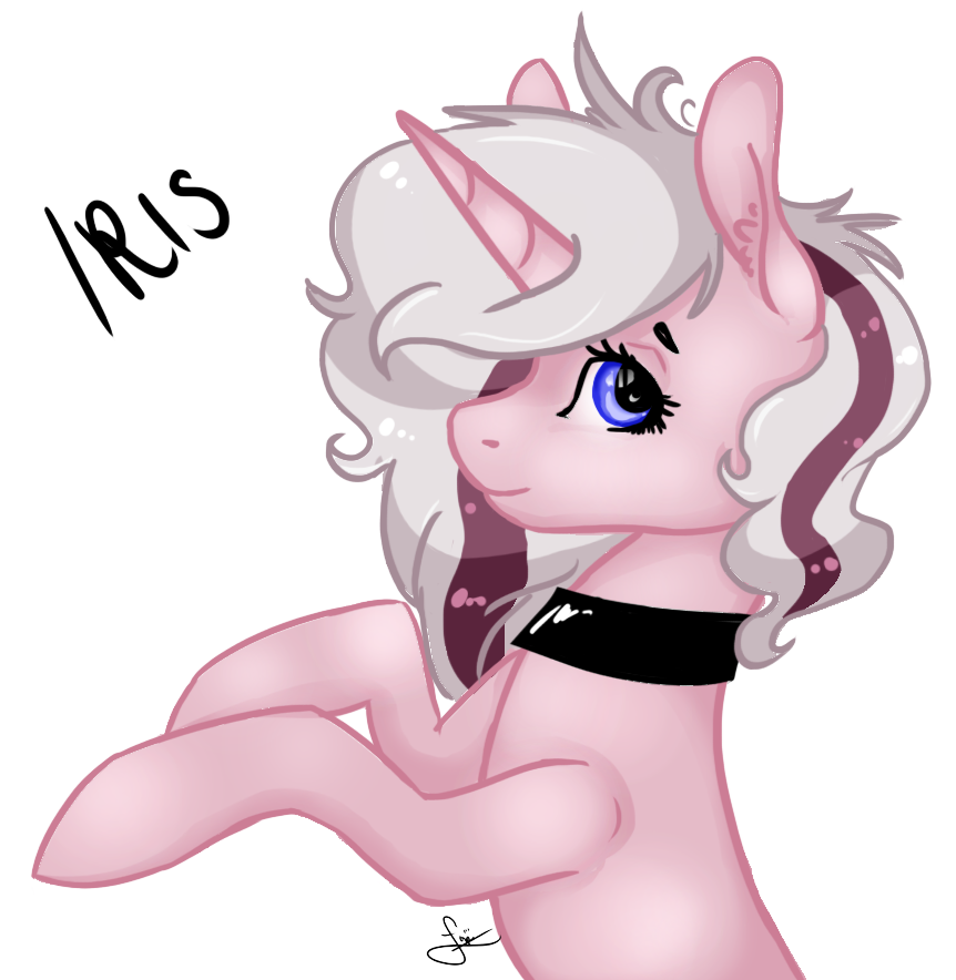 Iris by PannaLapa on DeviantArt
