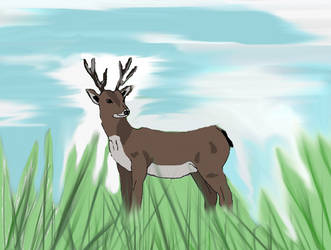 Deer Request for our mother