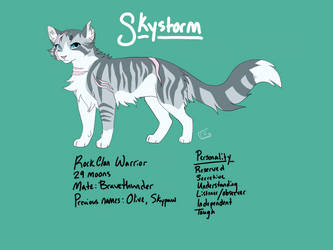 Skystorm Reference Sheet 2017