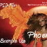 Phoenix PSD