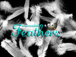 Feathers GIMP Brush