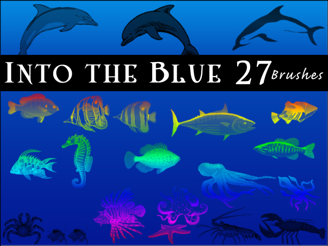 Into the Blue