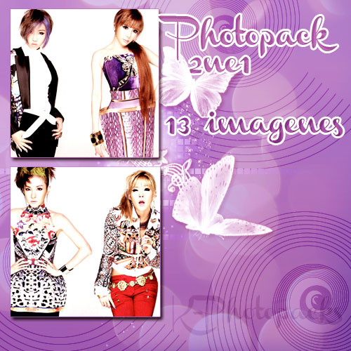 +2NE1 Photopack