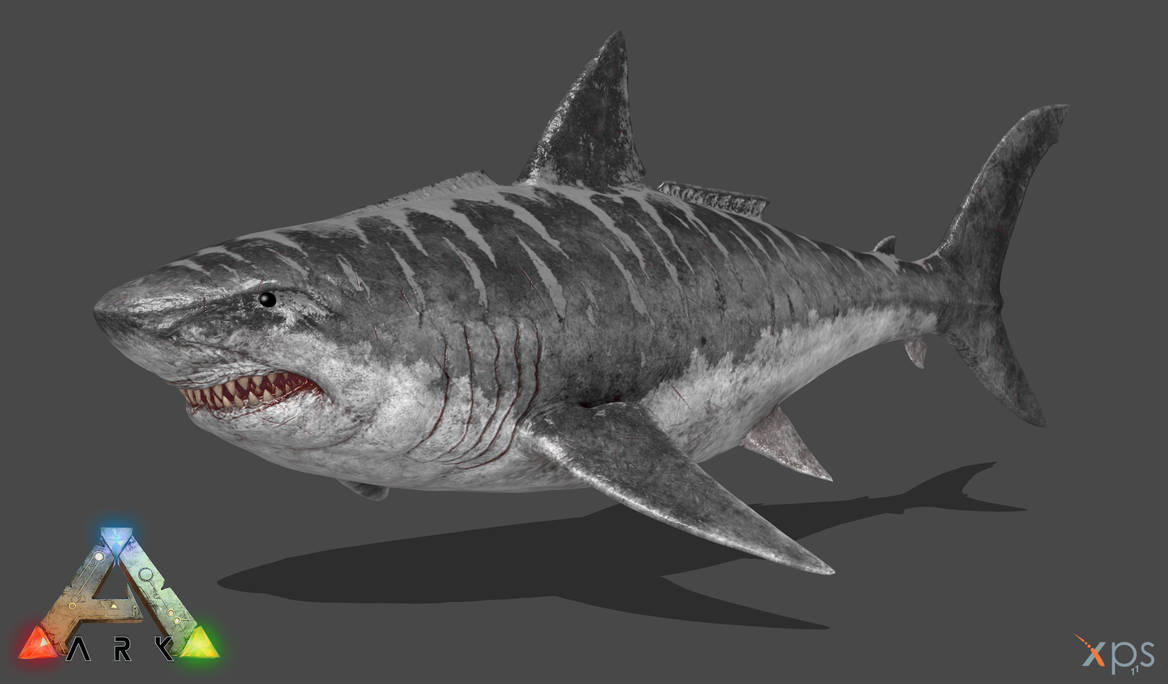 [ARK:SE] Megalodon by Phelcer on DeviantArt
