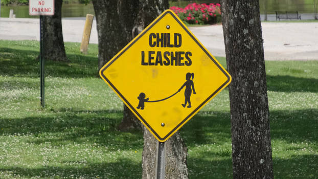 Child Leashes thumbnail