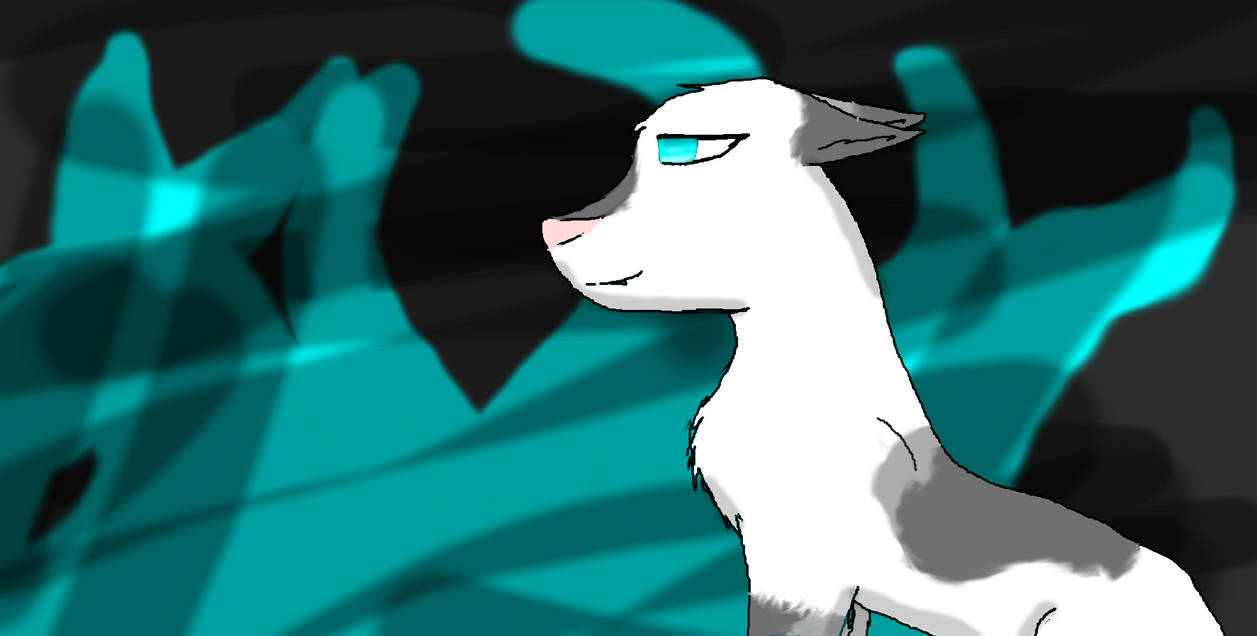 misty the kitty catty by mistycat1230 on DeviantArt