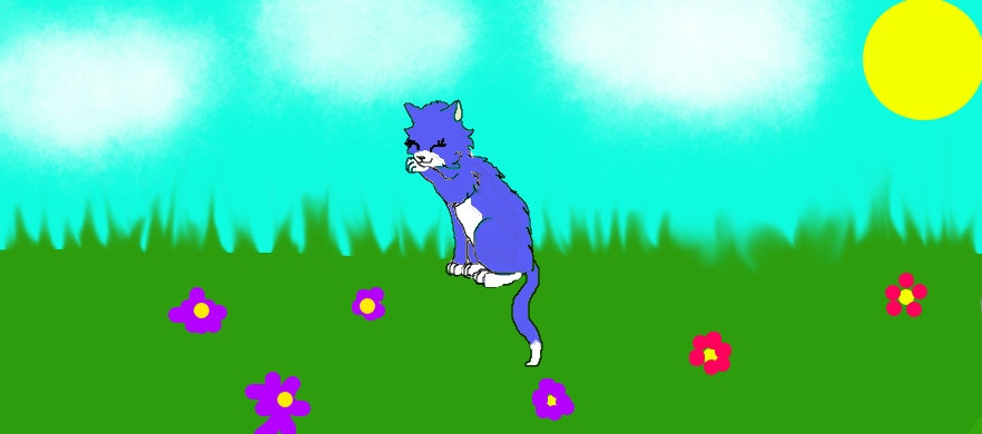 Sasha the cat by sparklyangelwings on DeviantArt