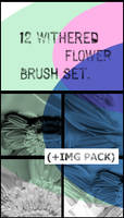 12 Flowery Grungy Brush set.