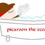 picaroon the eccentric