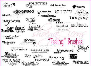 100x100 'Feelings' Brushes