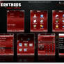 ERYTHROS SKIN FOR MOTO