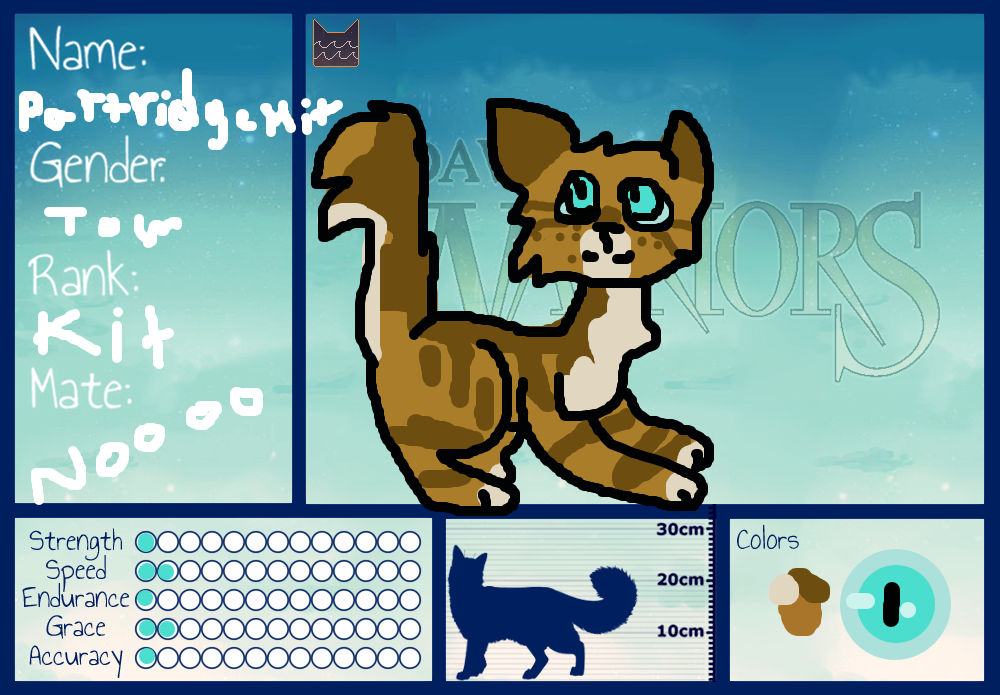 partridgekit tryout by leiki224 on DeviantArt