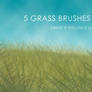 5 Grass Brushes