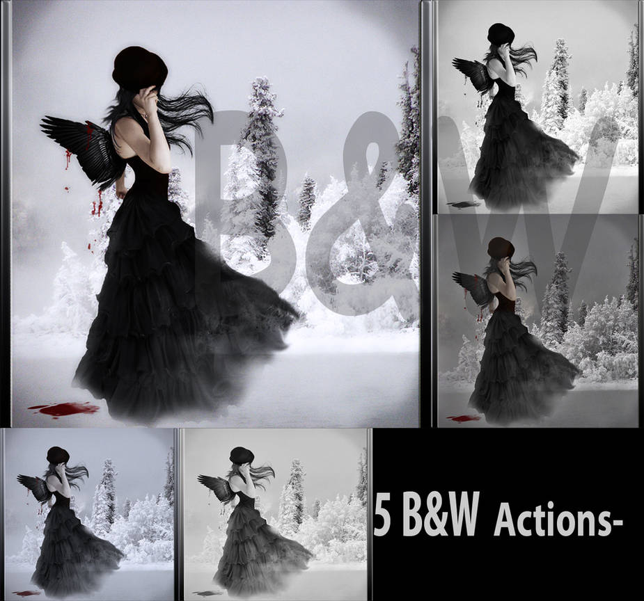 black_and_white_ps_actions_by_ameliethe_d1as7he-pre.jpg