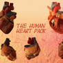 Human Heart Collection