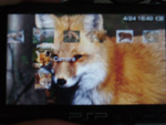 PSP Fox Theme