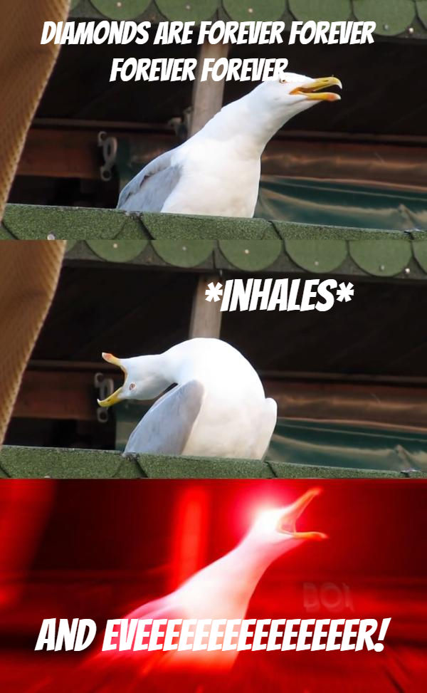 Diamonds Are Forever - Inhaling Seagull Meme by Elizabethjones18 on