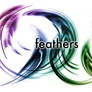 Feather Brushes