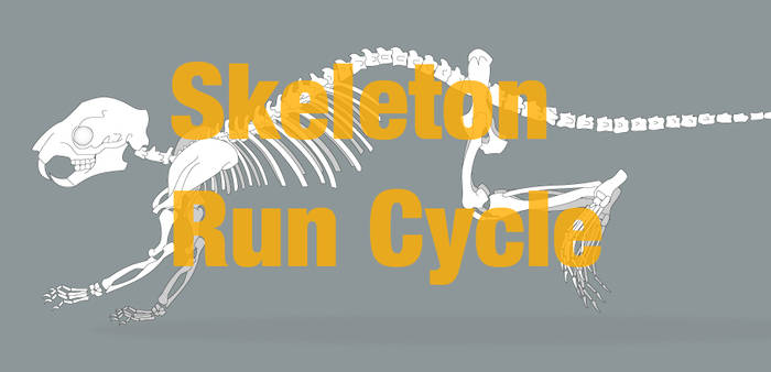 Squirrel Skeleton Run Cycle