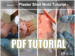 PDF Plaster Shell Mold Tutorial